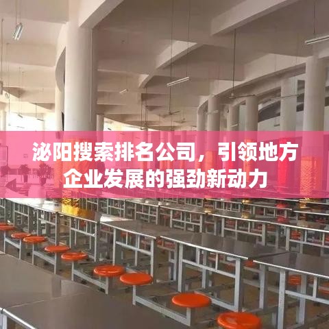 泌阳搜索排名公司，引领地方企业发展的强劲新动力