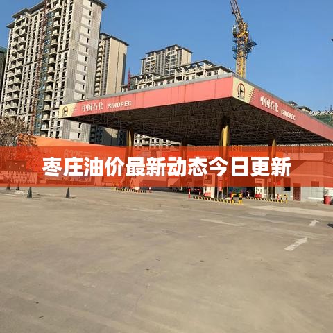 枣庄油价最新动态今日更新