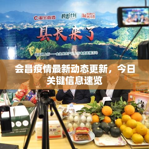 会昌疫情最新动态更新,今日关键信息速览