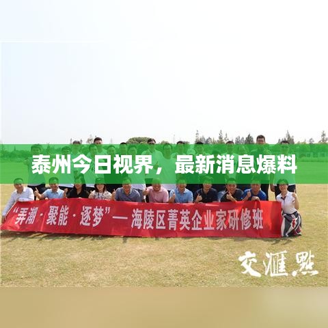 泰州今日视界，最新消息爆料