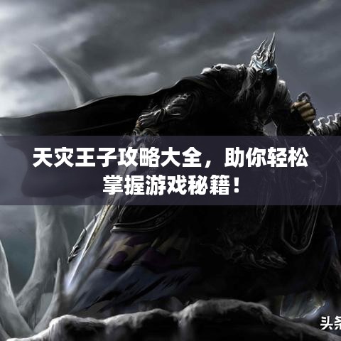 天灾王子攻略大全,助你轻松掌握游戏秘籍!