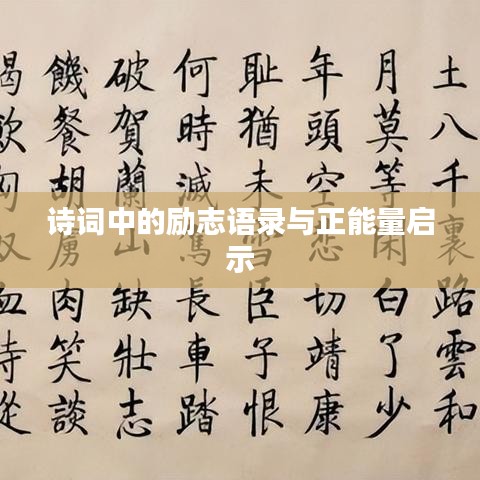 百不获一 第4页