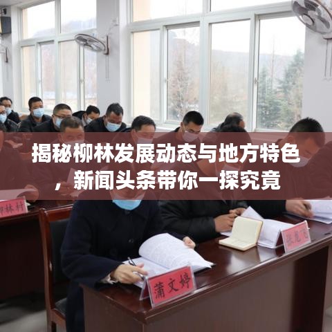 揭秘柳林发展动态与地方特色,新闻头条带你一探究竟