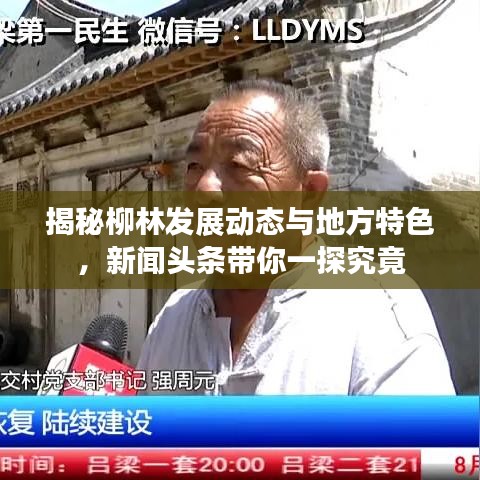 揭秘柳林发展动态与地方特色,新闻头条带你一探究竟