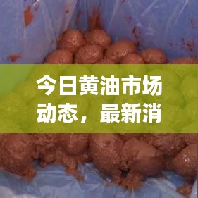 今日黄油市场动态,最新消息与价格表全面解析