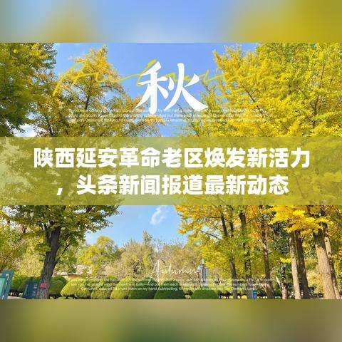 宁静致远 第4页