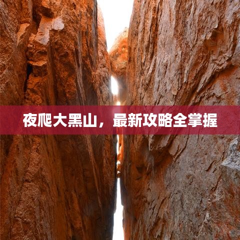 明目张胆 第3页