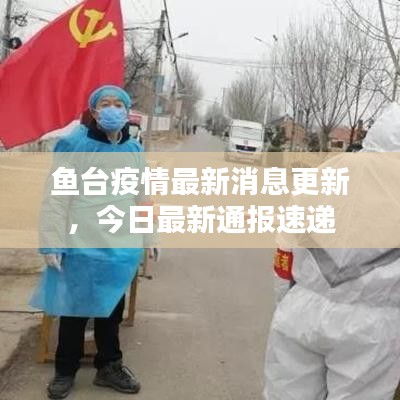 鱼台疫情最新消息更新,今日最新通报速递