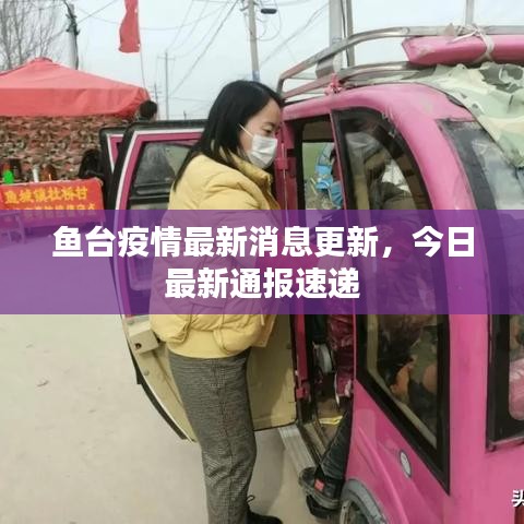 鱼台疫情最新消息更新,今日最新通报速递