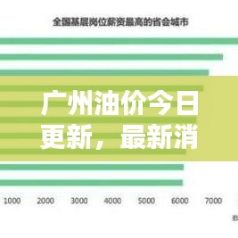 广州油价今日更新，最新消息及动态分析