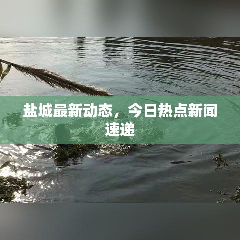 盐城最新动态，今日热点新闻速递