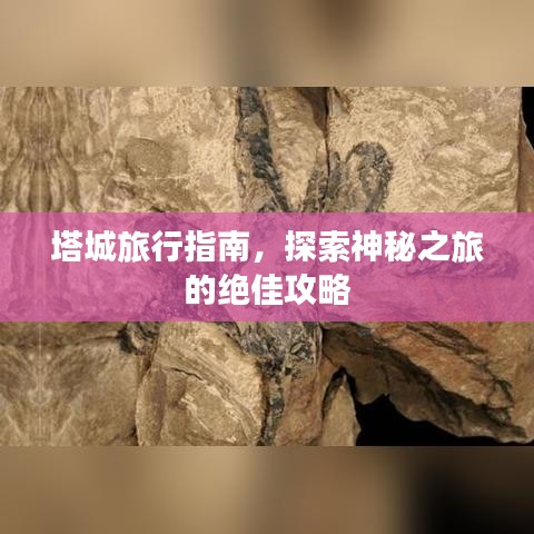 塔城旅行指南,探索神秘之旅的绝佳攻略