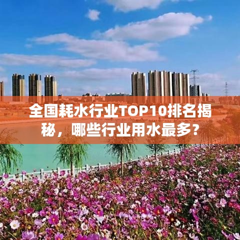 全国耗水行业TOP10排名揭秘,哪些行业用水最多?