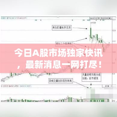 今日A股市场独家快讯,最新消息一网打尽!