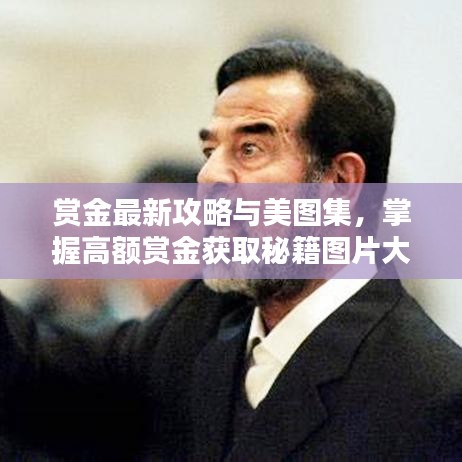 赏金最新攻略与美图集,掌握高额赏金获取秘籍图片大全