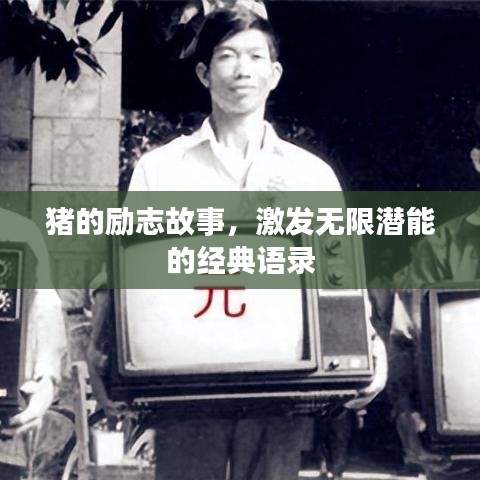 猪的励志故事,激发无限潜能的经典语录