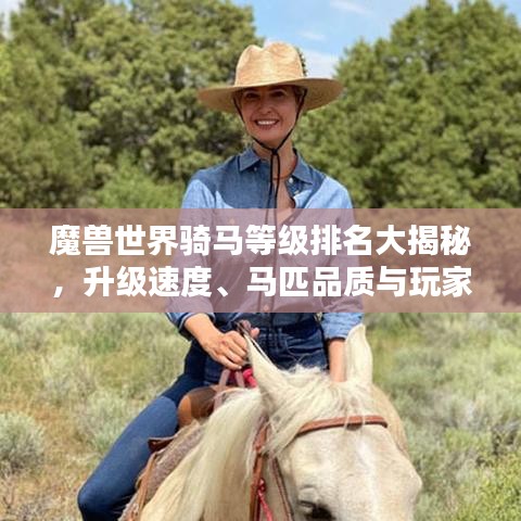 魔兽世界骑马等级排名大揭秘,升级速度、马匹品质与玩家荣耀!