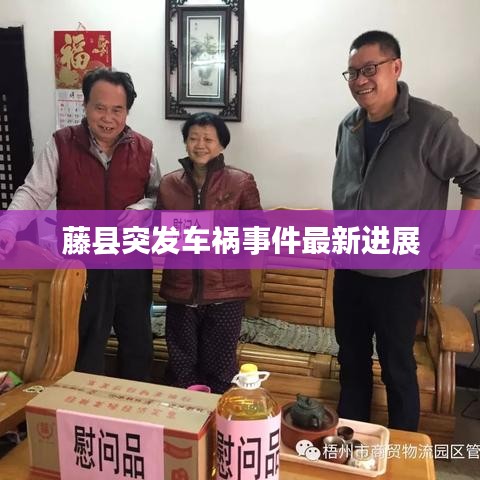 藤县突发车祸事件最新进展