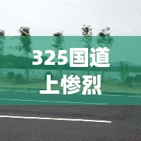 325国道上惨烈车祸事件震惊社会