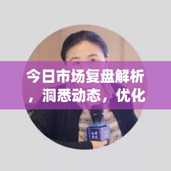 今日市场复盘解析,洞悉动态,优化投资策略