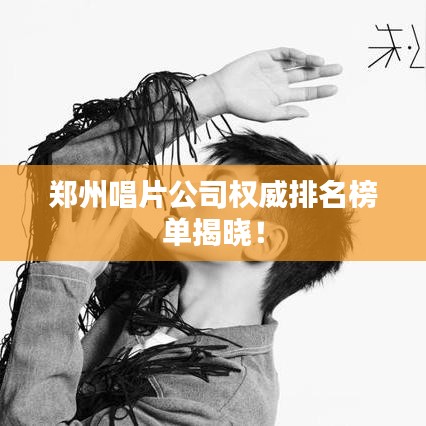 郑州唱片公司权威排名榜单揭晓!