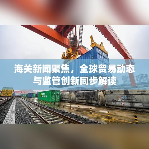 海关新闻聚焦,全球贸易动态与监管创新同步解读