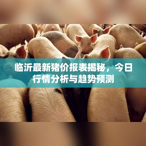 临沂最新猪价报表揭秘,今日行情分析与趋势预测
