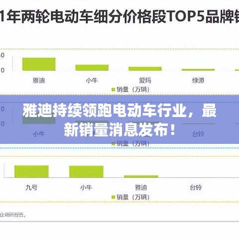 雅迪持续领跑电动车行业，最新销量消息发布！