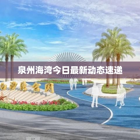 泉州海湾今日最新动态速递