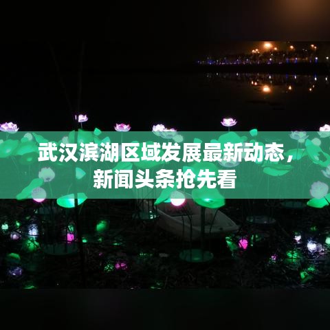 武汉滨湖区域发展最新动态，新闻头条抢先看