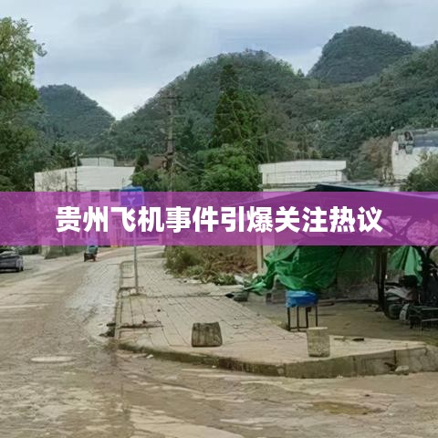 贵州飞机事件引爆关注热议