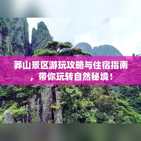 莽山景区游玩攻略与住宿指南,带你玩转自然秘境!