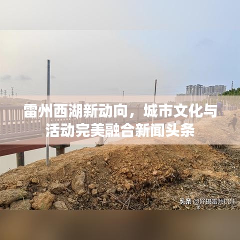 雷州西湖新动向,城市文化与活动完美融合新闻头条