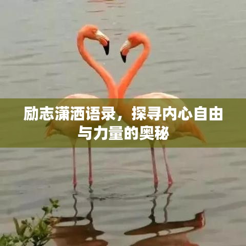 励志潇洒语录,探寻内心自由与力量的奥秘