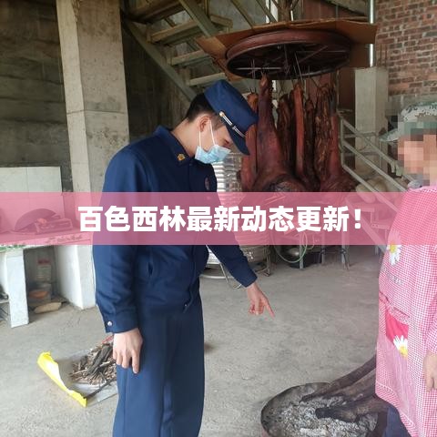 百色西林最新动态更新！