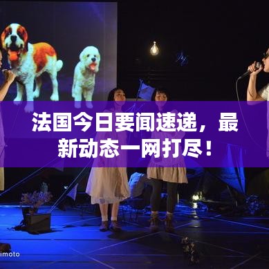 法国今日要闻速递,最新动态一网打尽!