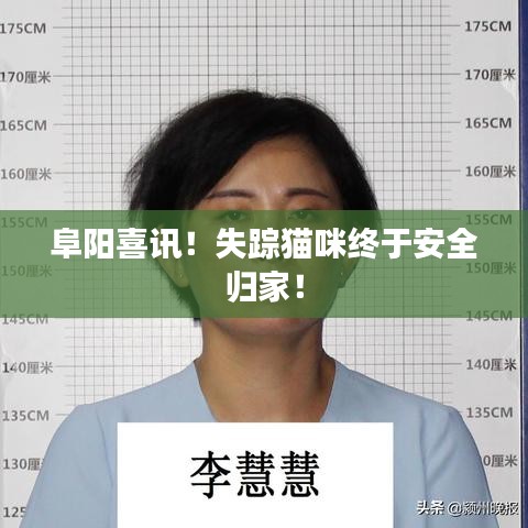 阜阳喜讯!失踪猫咪终于安全归家!