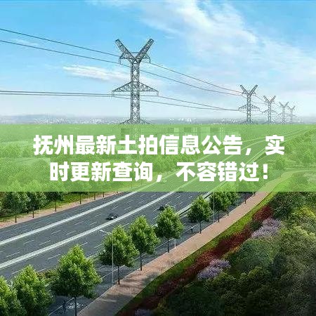 抚州最新土拍信息公告，实时更新查询，不容错过！
