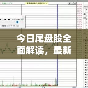今日尾盘股全面解读，最新走势分析与策略布局