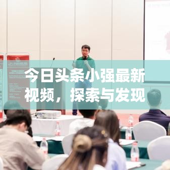 今日头条小强最新视频，探索与发现的奇妙之旅！
