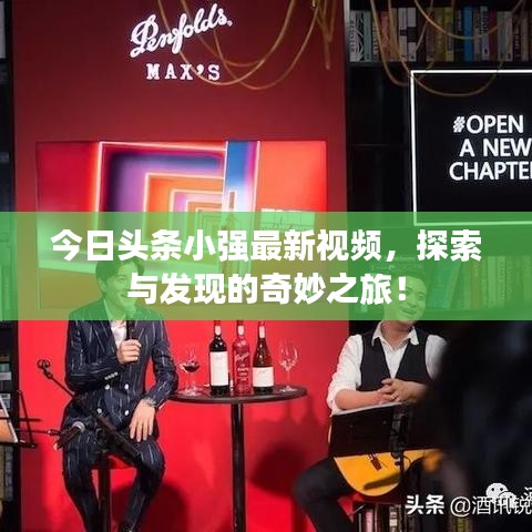 今日头条小强最新视频,探索与发现的奇妙之旅!