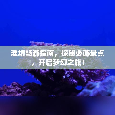 管窥蛙见 第4页