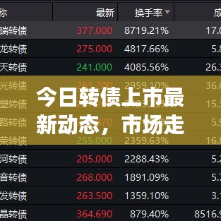 今日转债上市最新动态,市场走势揭秘,投资者关注焦点解析
