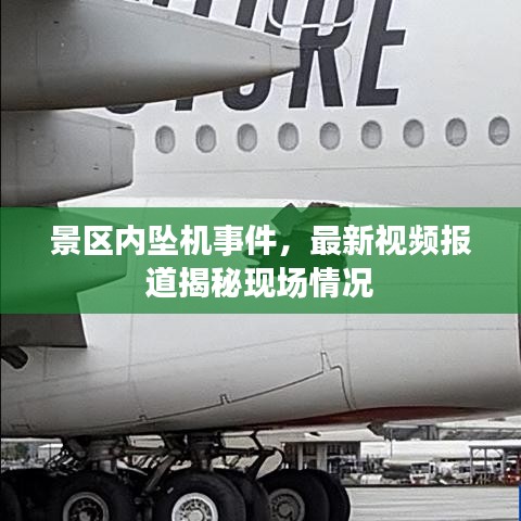 景区内坠机事件,最新视频报道揭秘现场情况