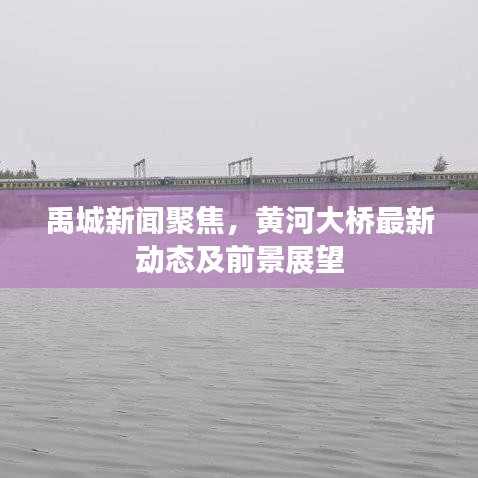 禹城新闻聚焦,黄河大桥最新动态及前景展望