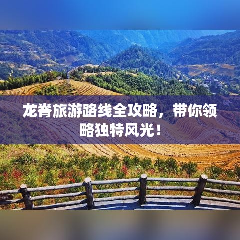 龙脊旅游路线全攻略，带你领略独特风光！