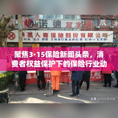 聚焦3·15保险新闻头条，消费者权益保护下的保险行业动态深度解析