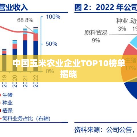 中国玉米农业企业TOP10榜单揭晓
