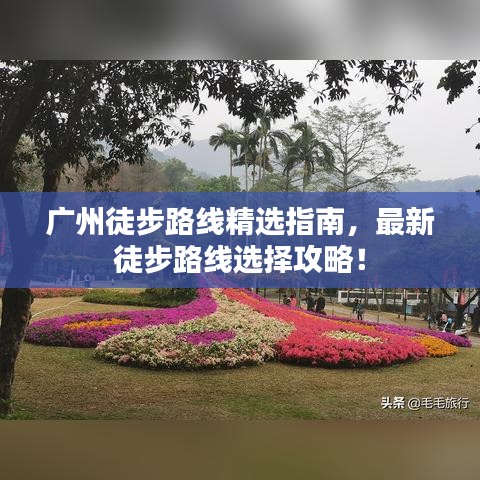 鸟栖虫居 第4页