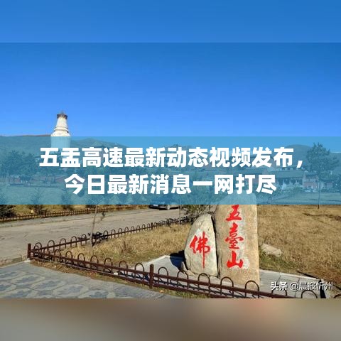 五盂高速最新动态视频发布,今日最新消息一网打尽